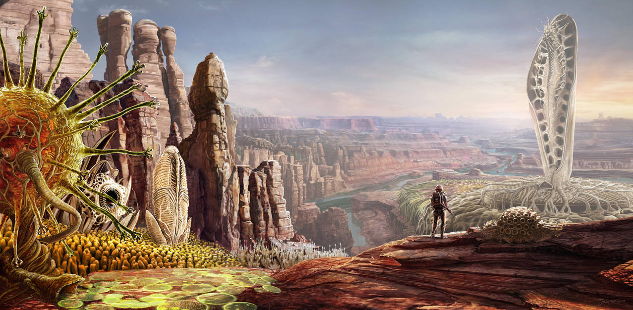 Pods in the Canyon by JasperHolland