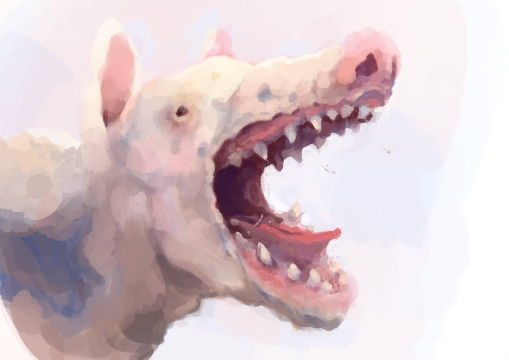 Pig by sharpieboss