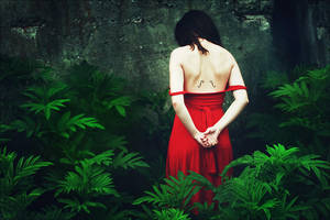 Le Violon Rouge by iNeedChemicalX