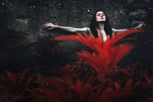 Hallowed by iNeedChemicalX