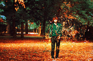 A choir of autumn leaves by iNeedChemicalX