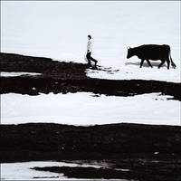 Black winter by iNeedChemicalX