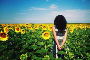 A million suns by iNeedChemicalX