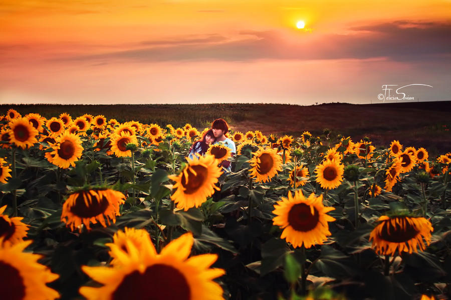 Days of Heaven by iNeedChemicalX