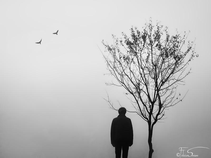 In tandem by iNeedChemicalX