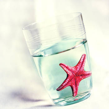 Meet the sea by iTaylie