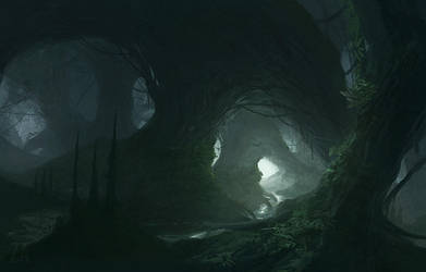Swamp by StefanHuerlemann
