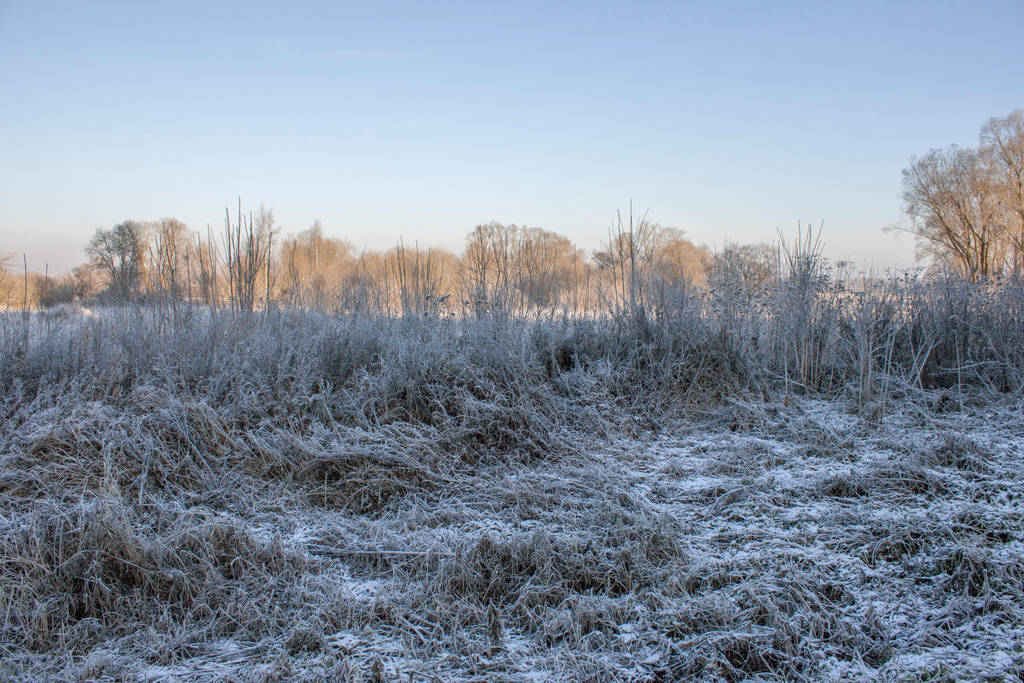 Winterscape by ManicHysteriaStock