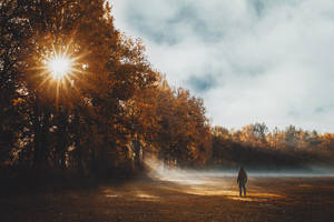 Ascent Star by RaphaelleM Ascent Star by RaphaelleM
