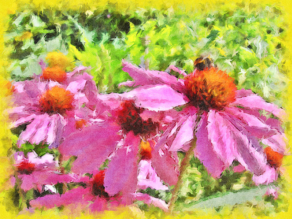 Bee on Echinacea by Chlodulfa Bee on Echinacea by Chlodulfa
