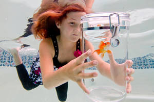 Curiosity by SonjaPhotography