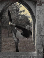 Classical ballet by x-glam-rock-x