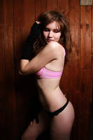 Woodie 2 by DavidStrange