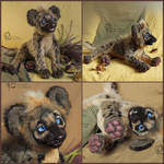 Hyena by olllga81