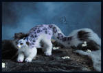 snow leopard by olllga81