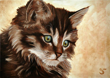 Little Cat V by StephanieVALENTIN