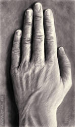 Hand by StephanieVALENTIN