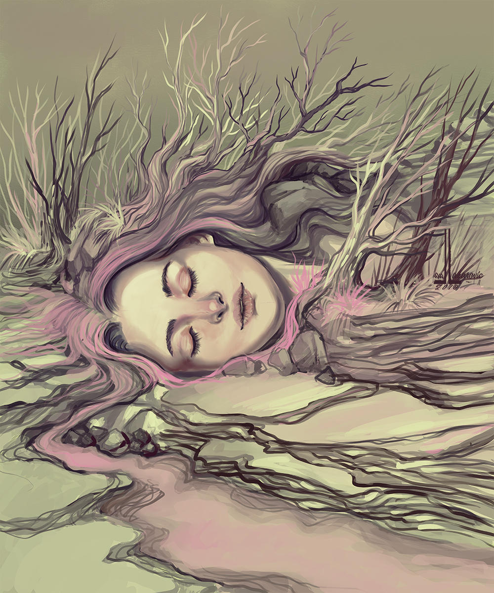 The dream by DesigningLua