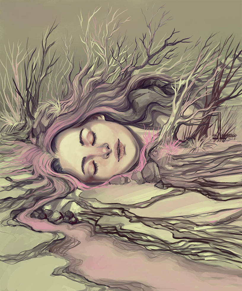 The dream by DesigningLua