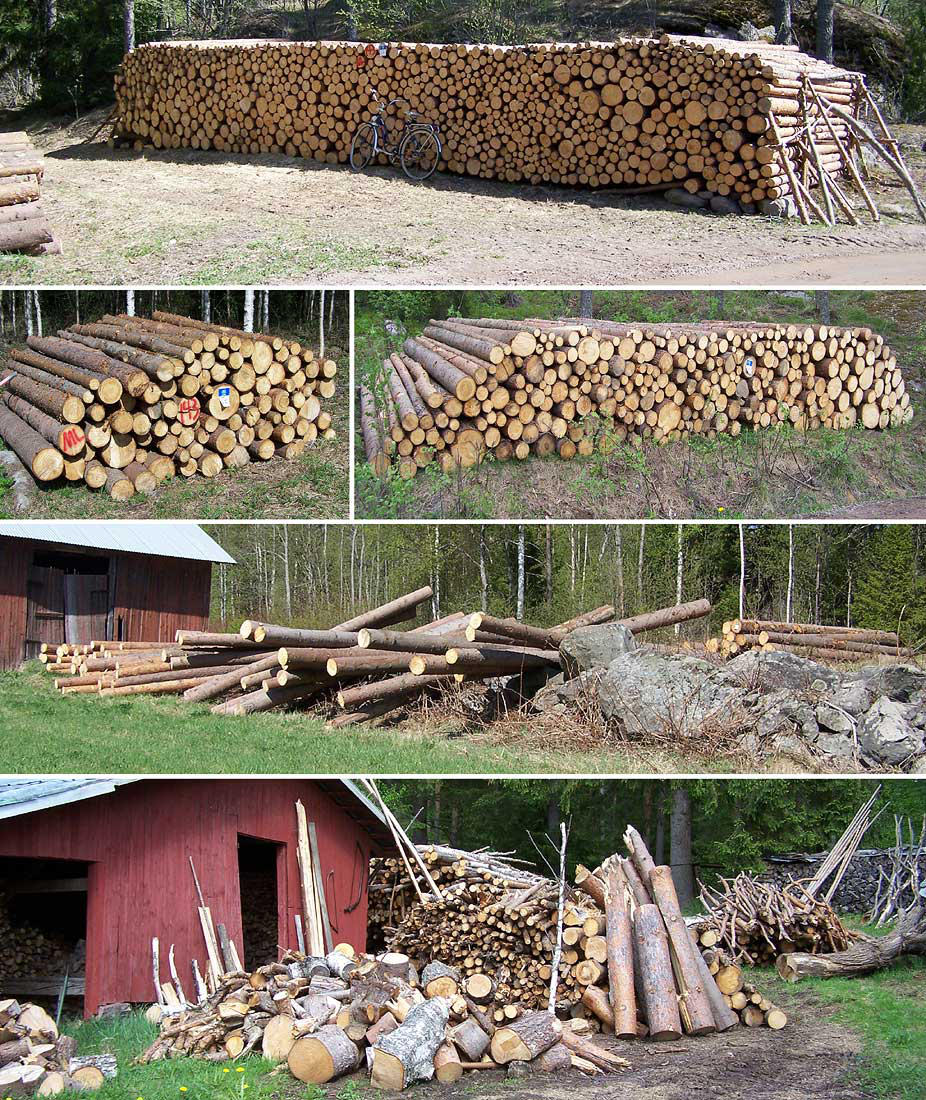 Forest works from 2011 spring by Astalo