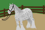 BMa Halter-Sugar by DreamingOfHorses67
