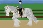 BMa Western Draft-Sugar by DreamingOfHorses67