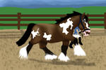 BMa Draft Halter-Lei by DreamingOfHorses67