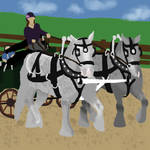 BMa Team Driving by DreamingOfHorses67