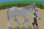 BMa Halter-Bob by DreamingOfHorses67