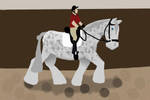 BMa Draft Show English-Sugar by DreamingOfHorses67