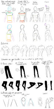 Male Anatomy Reference and Perspective Tips by DeviantTear