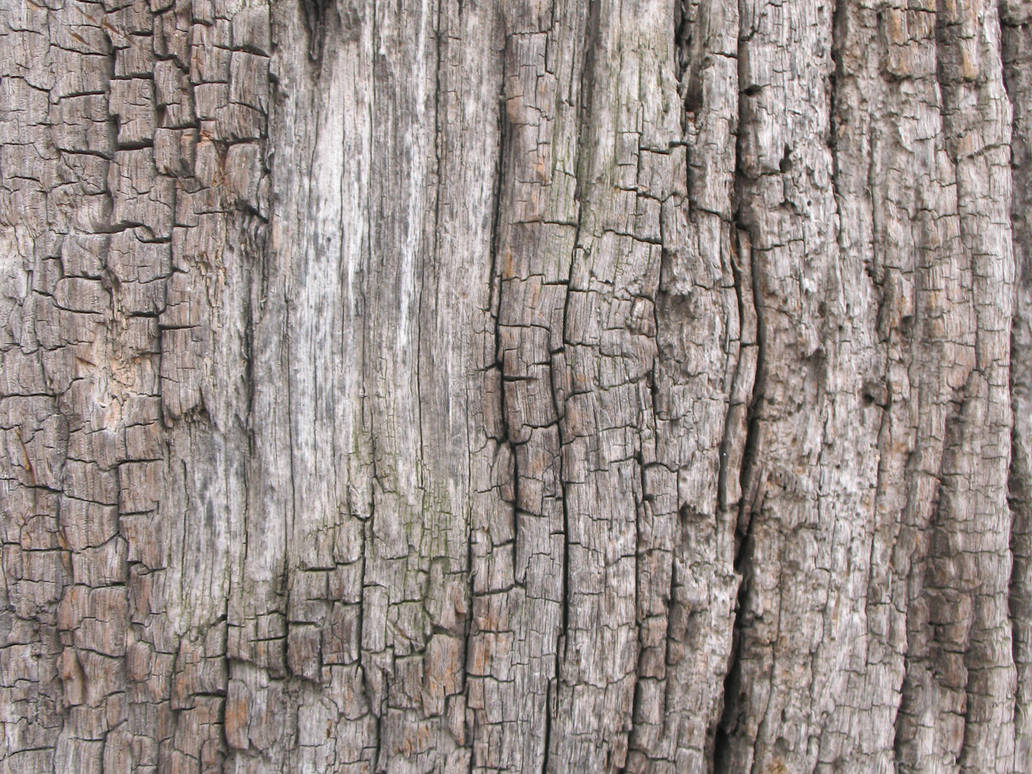 Old Wood texture 3 by Random-Acts-Stock
