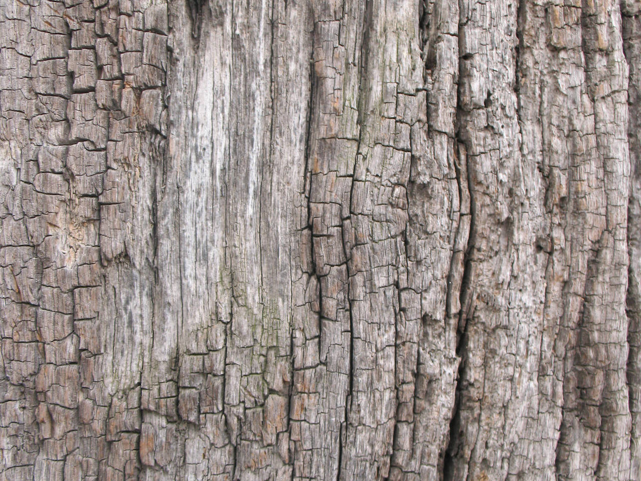 Old Wood texture 3 by Random-Acts-Stock