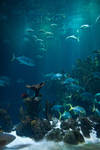The deep stock 6 by Random-Acts-Stock
