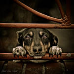 Feed me.... by JENU89