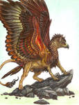 Mackle the Firebird Griffin by randomflyingpigeons