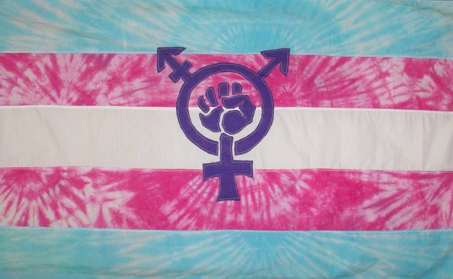 Tie-Dyed Trans Pride by randomflyingpigeons