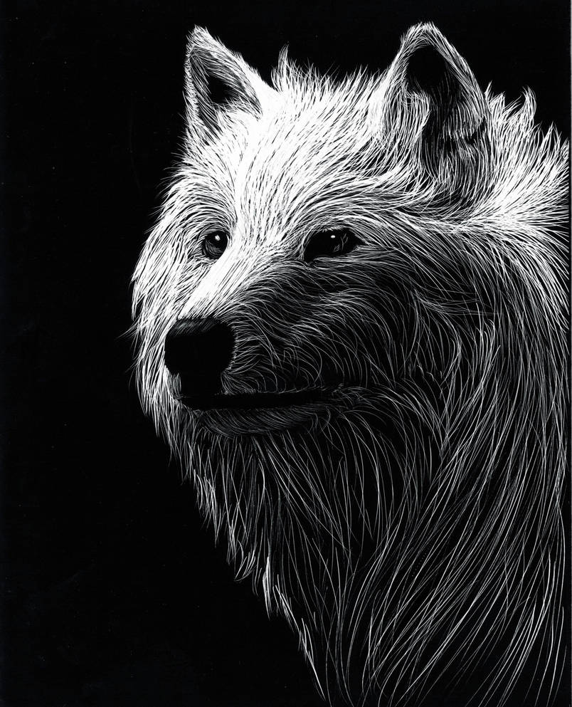 browse-scratchboard-traditional-art-deviantart