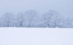 Blank Snow by peehs