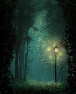 Follow the light by pankreas67 Follow the light by pankreas67