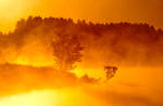 Golden Sunrise by DeingeL