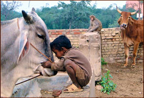 Children and Animals.... by Indiangal