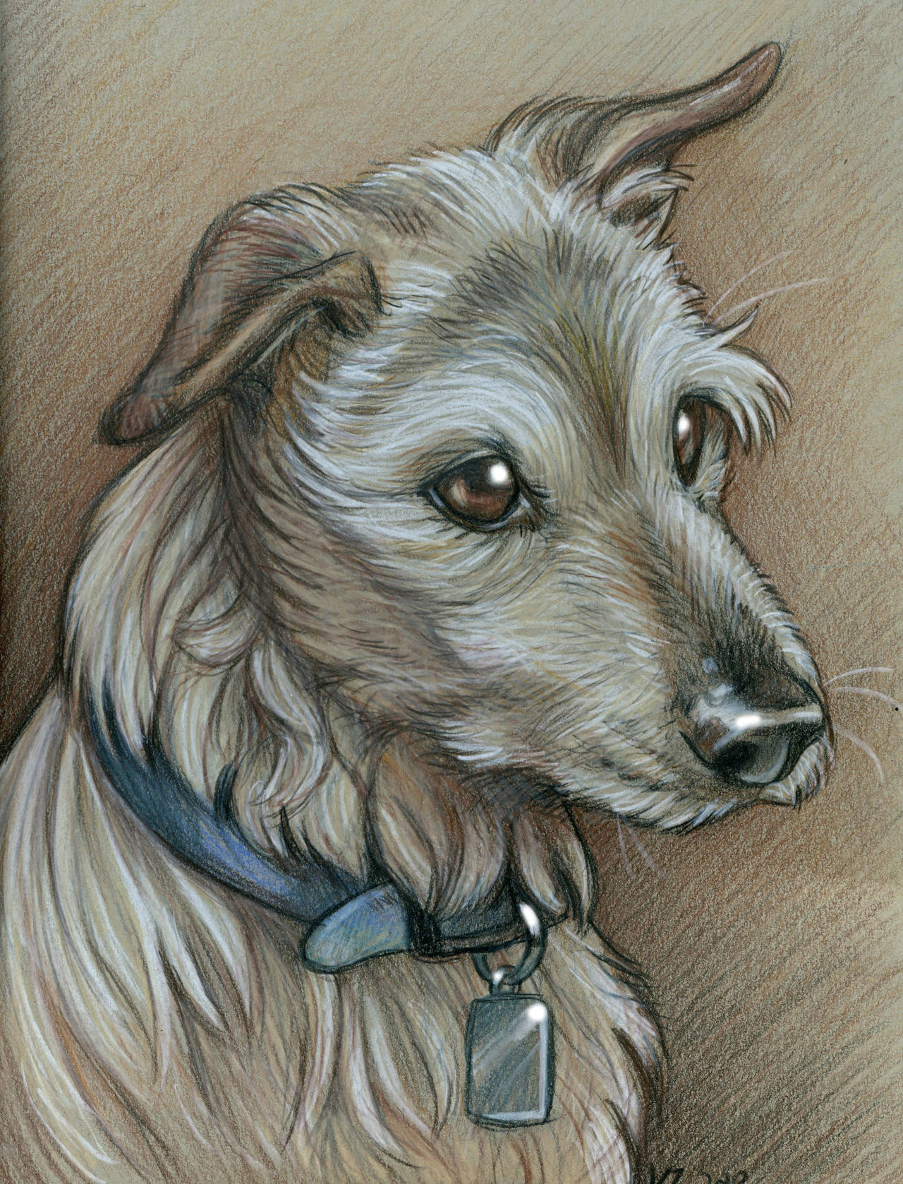 Colored Pencils Dog Portrait by NatsumeWolf on DeviantArt
