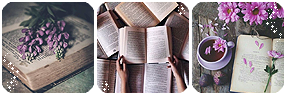 Book Divider by LaraLeeL