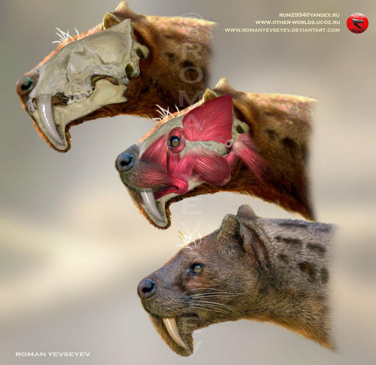 Eusmilus cerebralis head restoration by RomanYevseyev