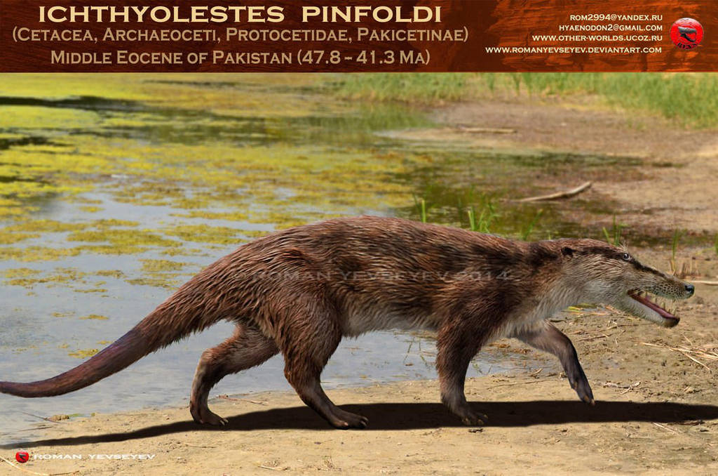 Ichthyolestes pinfoldi by RomanYevseyev