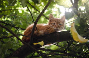 ... by Black-DressARTIST