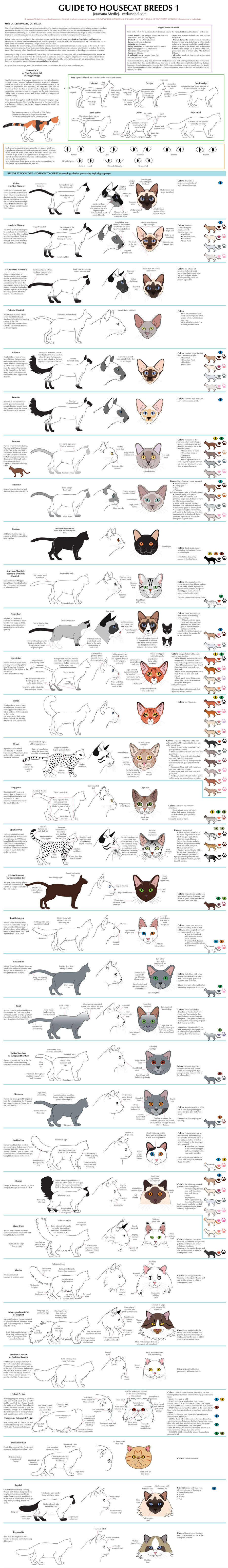 Guide to Housecat Breeds 1 by Majnouna