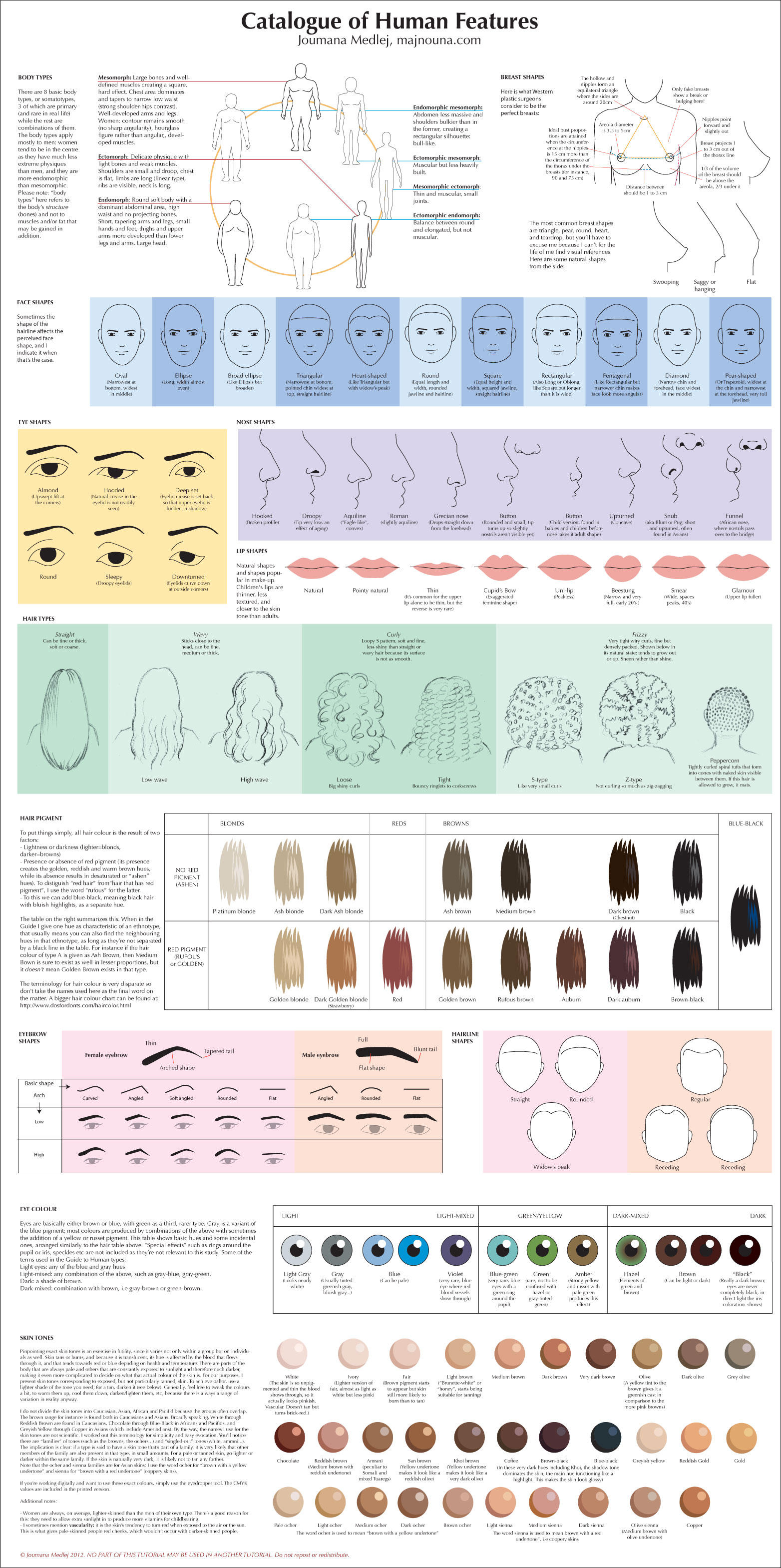Catalogue of Human Features by Majnouna