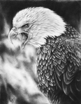 Screaming Eagle Drawing by ErnestoVladimir